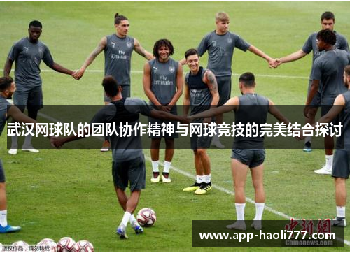武汉网球队的团队协作精神与网球竞技的完美结合探讨