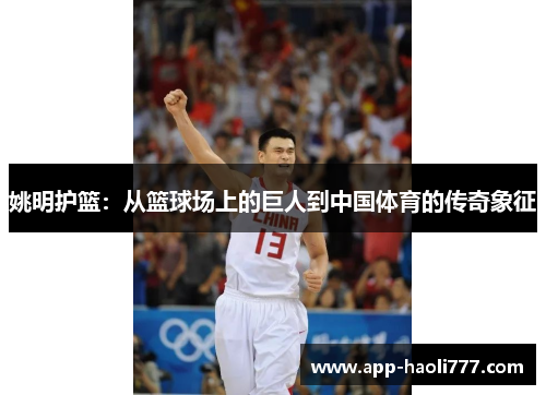 姚明护篮：从篮球场上的巨人到中国体育的传奇象征